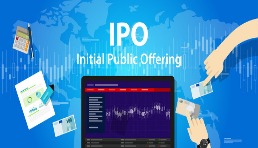 Flipkart最早或于2021年開始首次IPO